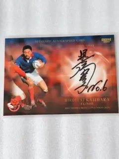 Item thumbnail for item 2dad4d0a-bbb0-433f-aa7d-f1ec7ca3f812