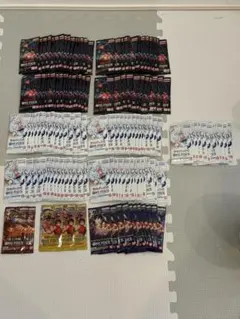 【サーチ済】ワンピース トレーディングカード セット