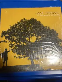 2025年最新】Jack Johnson レコードの人気アイテム - メルカリ