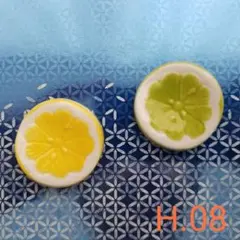 Manato.様 リクエスト 2点 まとめ商品