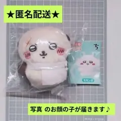 【オマケ付き】ちいかわ クリップぬいぐるみ ラッコ
