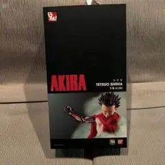 AKIRA