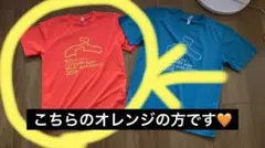 Item thumbnail for item 209119fd-8977-4eb9-acf5-a3e599f57378