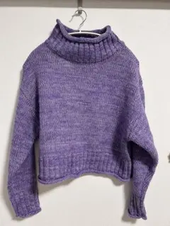 パープル クロップド