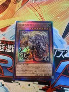 教導の雷霆フルルドリス レリーフ