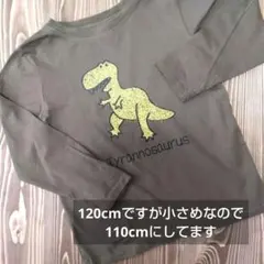 【美品】ティラノサウルス 長袖Tシャツ カーキ