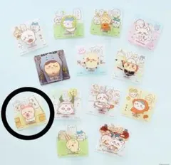 ちいかわ　アクリルシーンクリップ　ビスケット　アクリルクリップ