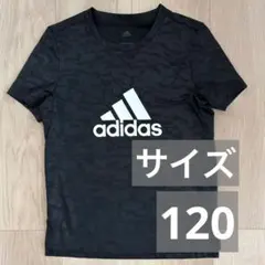 Item thumbnail for item a79a92ca-4dd5-4d3d-83ad-b5e245b45013