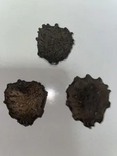 ガックフルーツの種　3個セットのサムネイル