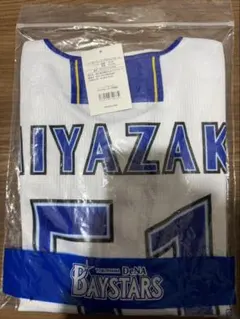 横浜DeNAベイスターズ 入江大生 22 ユニフォーム ホーム Mサイズ