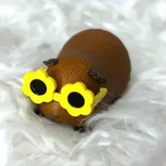 サングラスをかけた　モルモット キャッツアイ
