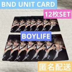 BOYLIFE ボーイライフ ボネクド ボイネク ユニット ジェヒョン テサン