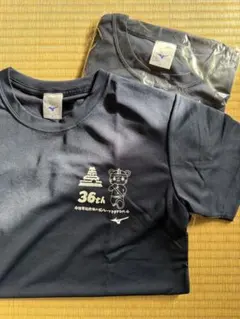 Mizuno 鶴ヶ城ハーフマラソン2024 Tシャツ　SL2枚セット　お揃い
