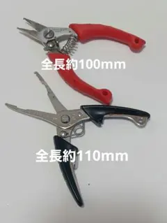 Item thumbnail for item ba234029-98b9-4d07-bae2-ca766f0c4606