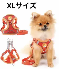 Item thumbnail for item 6cd015f6-a0de-4261-b0dd-2da4ad070722