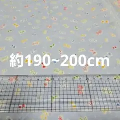 約190~200cm　シーチング？　生地　はぎれ　蝶々　カラフル　蝶々