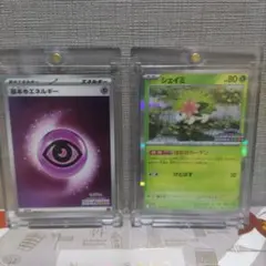 チャンピオンシップシリーズ2026 プロモ シェイミ 鋼・闘エネルギー