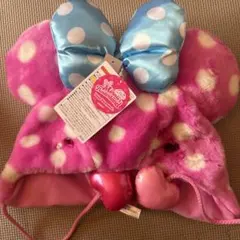 パルパルーザミニー ミニーのファンダーランド セット