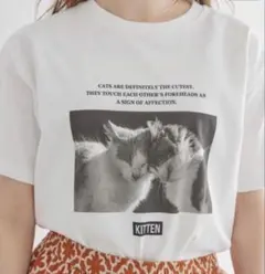 【未使用】アメリカンホリック 猫プリントフォトTシャツ M ホワイト