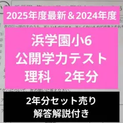 2026年最新】浜学園 公開テスト 小6の人気アイテム - メルカリ