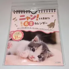 Item thumbnail for item 92b02a52-71f9-472b-a1d4-a3278bdb1d1a