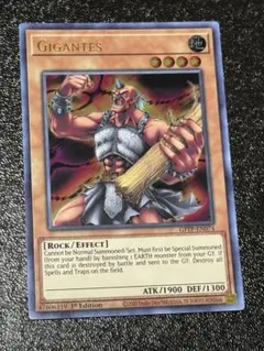 Violeta fukumoto様 リクエスト 2点 まとめ商品