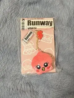 Aぇ! group Runway ぬいぐるみキーホルダー 末澤誠也 - メルカリ