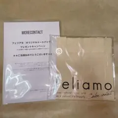 白石麻衣 Feliamo プレゼント キャンペーン 当選品 トートバッグのサムネイル