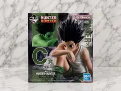 一番くじ HUNTER×HUNTER ゴン MASTERLISE