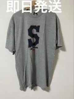 STUSSY Tシャツ(お値下げ可能)
