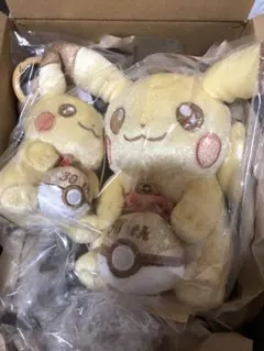 ポケモン 30周年記念 ピカピカ！ピカチュウ ぬいぐるみ マスコット 2点