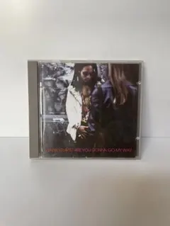 レニー・クラヴィッツ/ARE YOU GONNA GO MY WAY