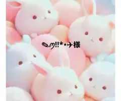 ✎️ꪑ!!*⋆✈ 様 確認