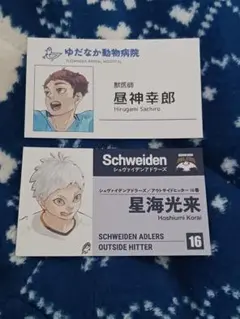 ハイキュー!!ファンパーク名刺コレクション星海高来・昼神幸郎セット