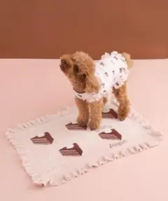 ジェラートピケ【CAT&DOG】オータムケーキジャガードブランケット ピンク