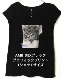 AMBIDEXブラック グラフィックプリント Tシャツ Fサイズのサムネイル