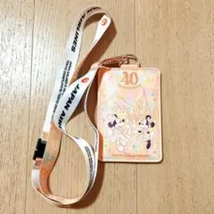 【ディズニー】　ディズニー40周年　JALオリジナルパスケース