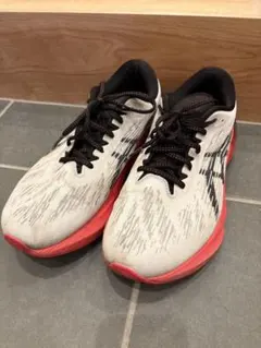 アシックス　ランニングシューズ ワイド　28cm