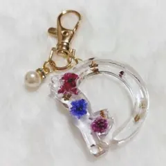 〖レジンキーホルダー〗猫イニシャルD お花&金箔入り☆即日発送⋆*