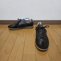 ジャーマントレーナー 黒