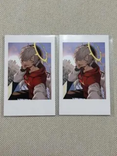 Crazy Raccoon CR SELFIE CARD だるまいずごっど