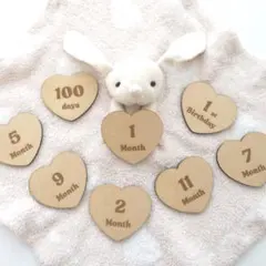 Item thumbnail for item 1127da37-24c3-42fc-a144-2f44c0cd76fa