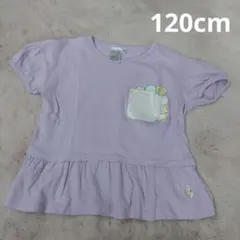 すみっコぐらし 半袖　Tシャツ　紫　フリル 120cm