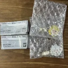 カラフルピーチ メタルヘアクリップ 2個セット どぬく たっつん