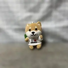 Item thumbnail for item d739fbe7-e012-4f8d-a988-bcd786bb7ecf