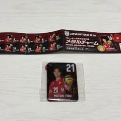 日本代表 バレーボール男子 メタルチャーム 永露元稀