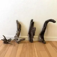 Item thumbnail for item dc306b57-6457-4156-ab27-6f26bd050ca9