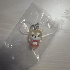 JOCHUM めじるしアクセサリー まめちぃ ピーハイ チュララ セット