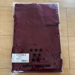 Item thumbnail for item aeebcf40-8de7-4202-8e7b-ed8d01f33696