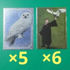 ハリー・ポッター　トレカ ハリー　ヘドウィグセット